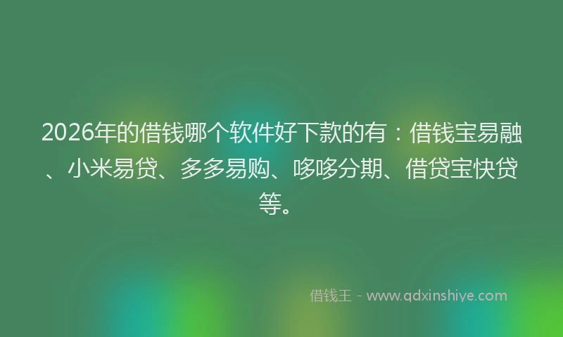 2026年的借钱哪个软件好下款的有：借钱宝易融、小米易贷、多多易购、哆哆分期、借贷宝快贷等。