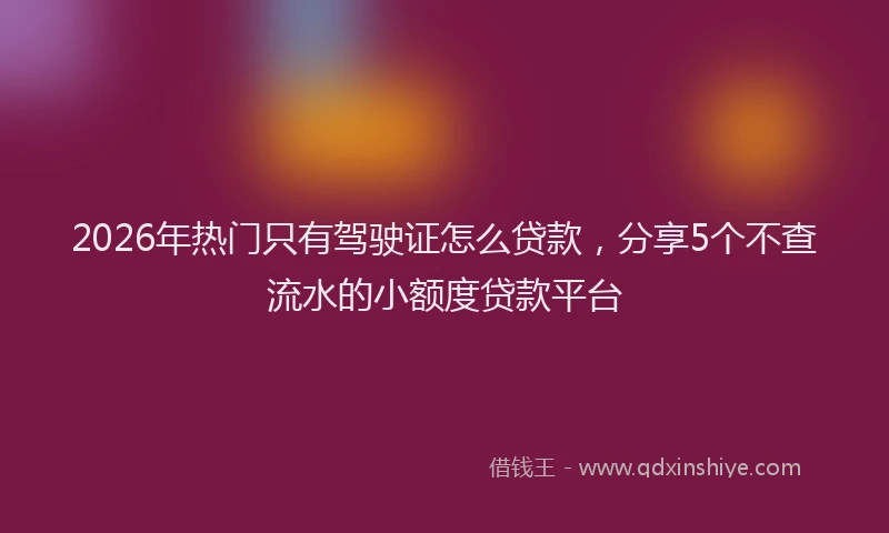 2026年热门只有驾驶证怎么贷款，分享5个不查流水的小额度贷款平台