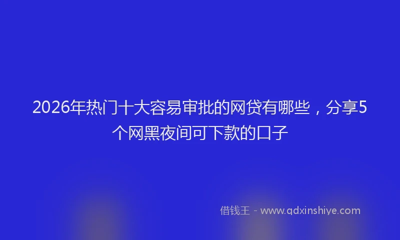 2026年热门十大容易审批的网贷有哪些，分享5个网黑夜间可下款的口子