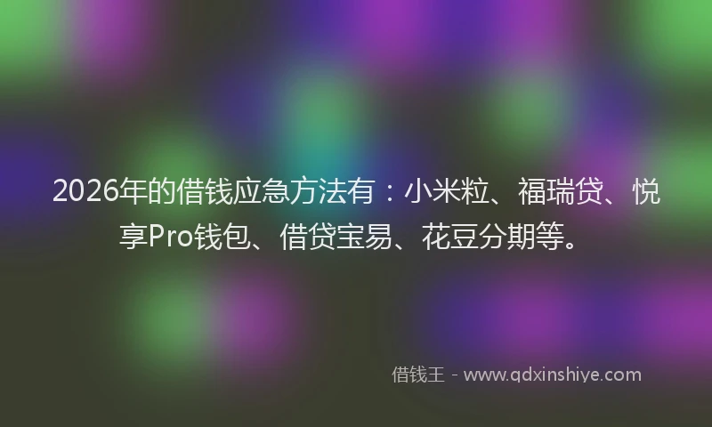 2026年的借钱应急方法有：小米粒、福瑞贷、悦享Pro钱包、借贷宝易、花豆分期等。