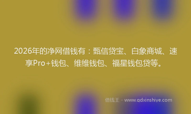 2026年的净网借钱有：甄信贷宝、白象商城、速享Pro+钱包、维维钱包、福星钱包贷等。