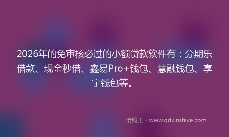 2026年的免审核必过的小额贷款软件有：分期乐借款、现金秒借、鑫易Pro+钱包、慧融钱包、享宇钱包等。