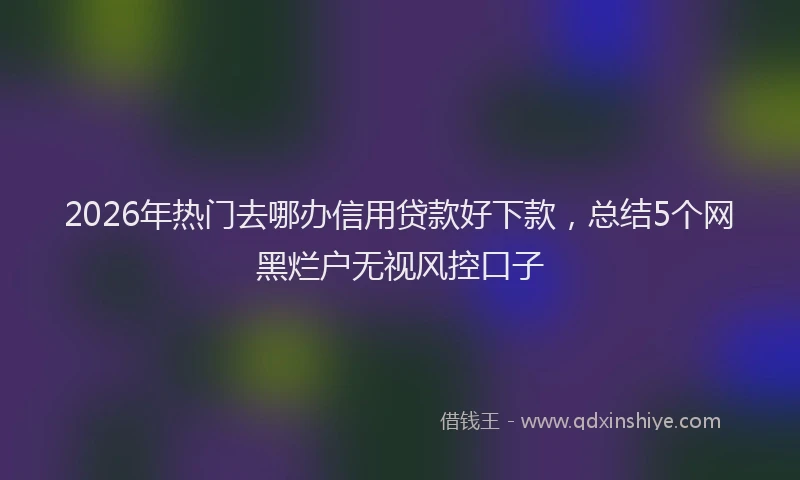 2026年热门去哪办信用贷款好下款，总结5个网黑烂户无视风控口子