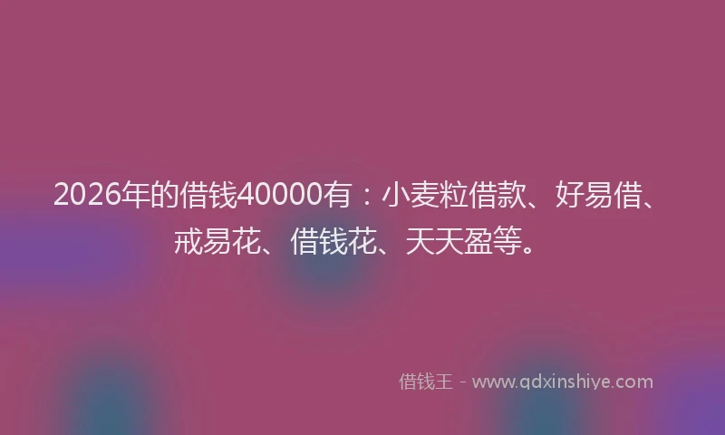 2026年的借钱40000有：小麦粒借款、好易借、戒易花、借钱花、天天盈等。