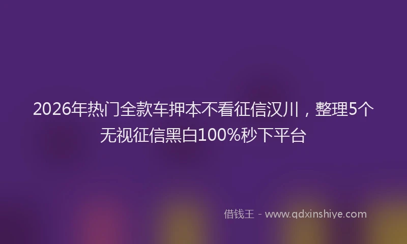 2026年热门全款车押本不看征信汉川，整理5个无视征信黑白100%秒下平台