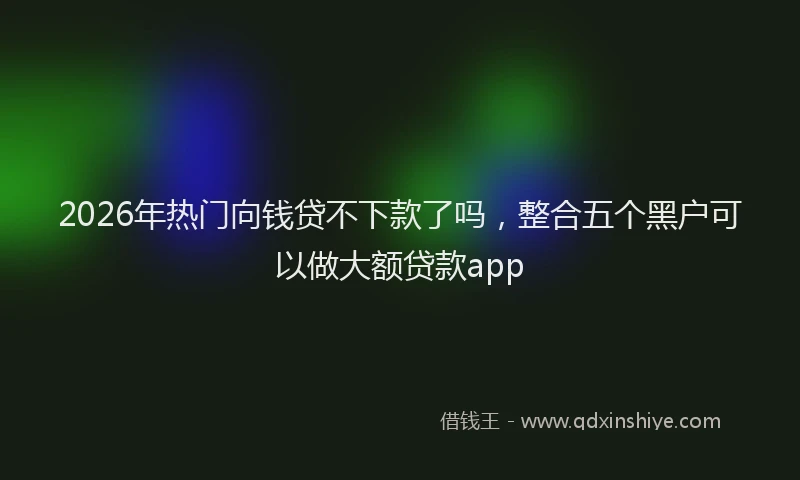 2026年热门向钱贷不下款了吗，整合五个黑户可以做大额贷款app