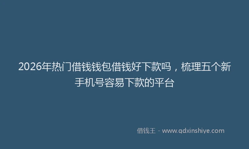 2026年热门借钱钱包借钱好下款吗，梳理五个新手机号容易下款的平台