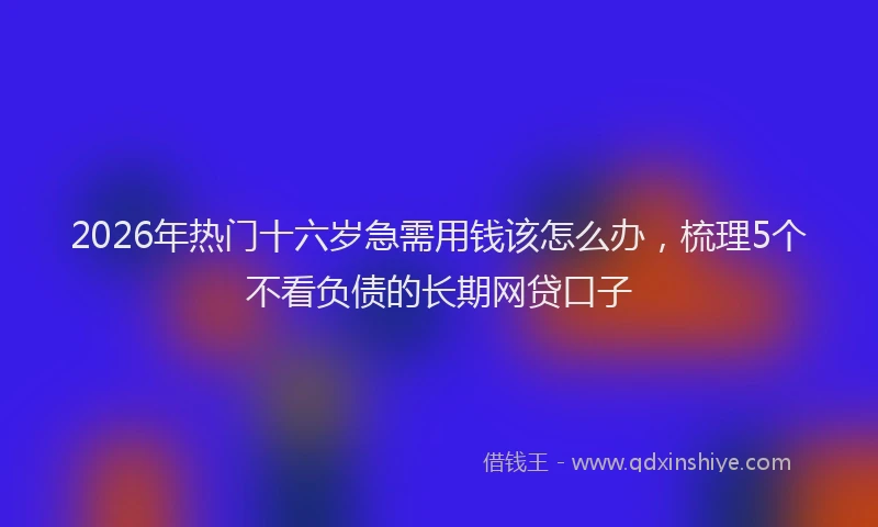 2026年热门十六岁急需用钱该怎么办，梳理5个不看负债的长期网贷口子