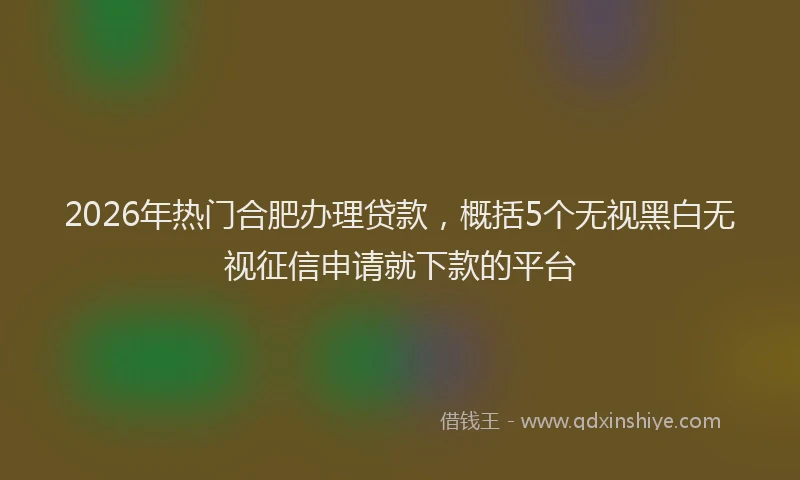 2026年热门合肥办理贷款，概括5个无视黑白无视征信申请就下款的平台