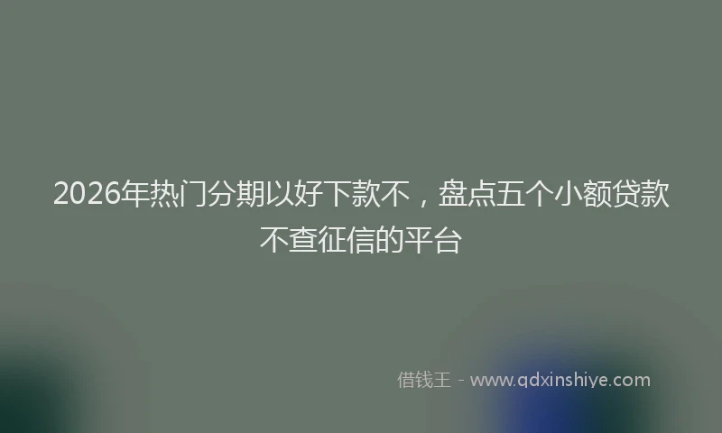 2026年热门分期以好下款不，盘点五个小额贷款不查征信的平台