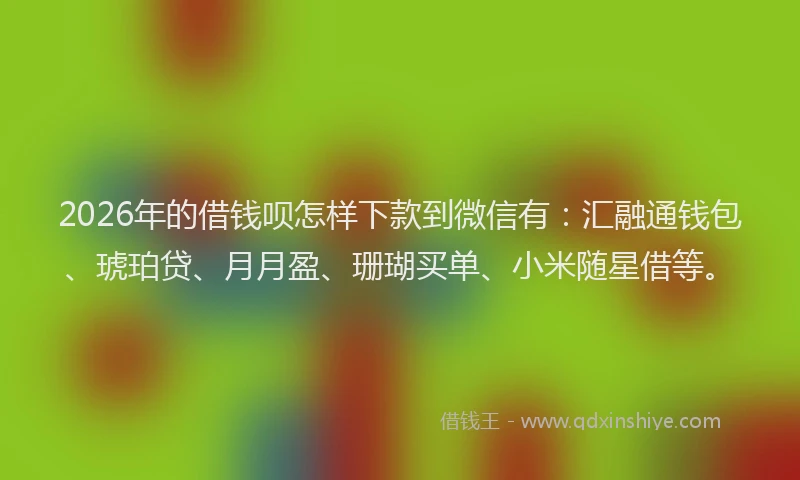 2026年的借钱呗怎样下款到微信有：汇融通钱包、琥珀贷、月月盈、珊瑚买单、小米随星借等。