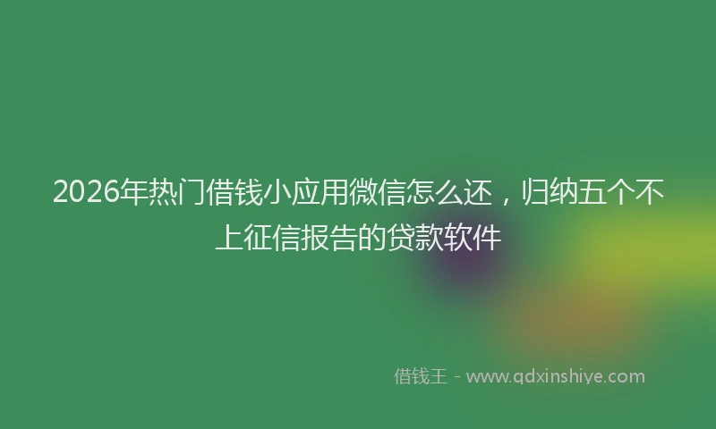 2026年热门借钱小应用微信怎么还，归纳五个不上征信报告的贷款软件