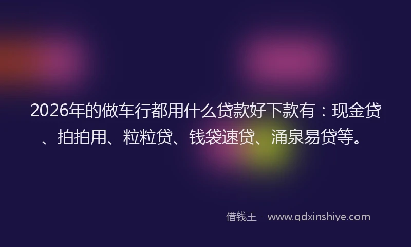 2026年的做车行都用什么贷款好下款有：现金贷、拍拍用、粒粒贷、钱袋速贷、涌泉易贷等。