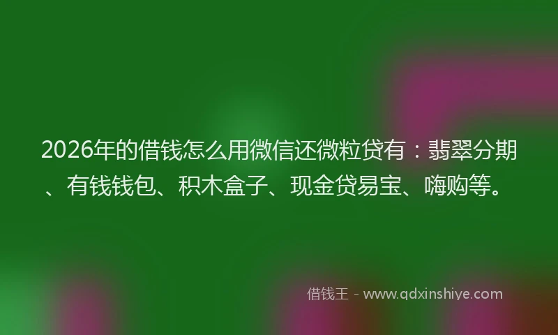 2026年的借钱怎么用微信还微粒贷有：翡翠分期、有钱钱包、积木盒子、现金贷易宝、嗨购等。