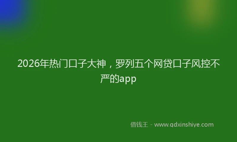 2026年热门口子大神，罗列五个网贷口子风控不严的app
