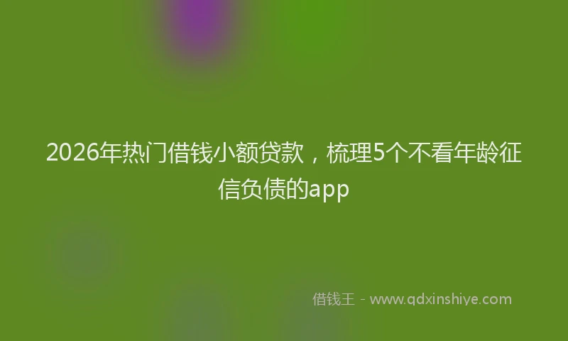 2026年热门借钱小额贷款，梳理5个不看年龄征信负债的app