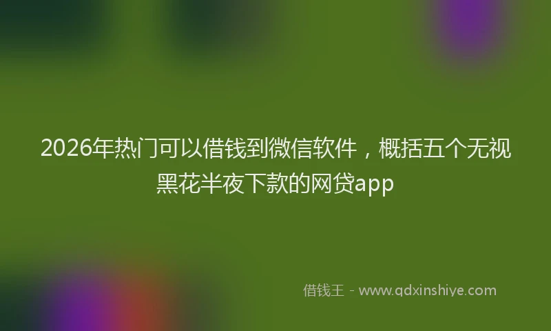 2026年热门可以借钱到微信软件，概括五个无视黑花半夜下款的网贷app