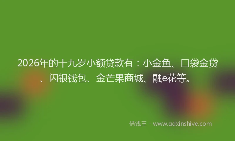 2026年的十九岁小额贷款有：小金鱼、口袋金贷、闪银钱包、金芒果商城、融e花等。