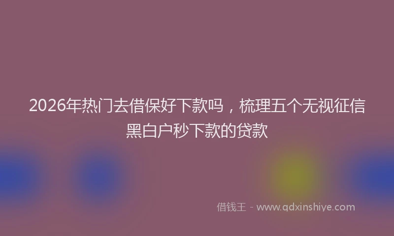 2026年热门去借保好下款吗，梳理五个无视征信黑白户秒下款的贷款