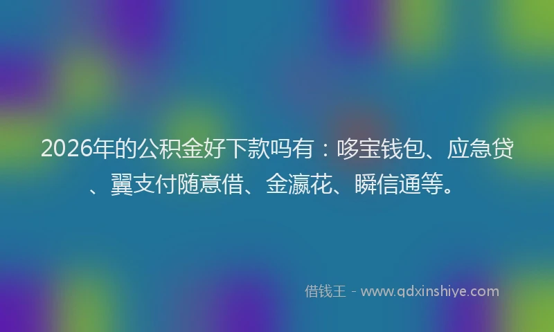 2026年的公积金好下款吗有：哆宝钱包、应急贷、翼支付随意借、金瀛花、瞬信通等。