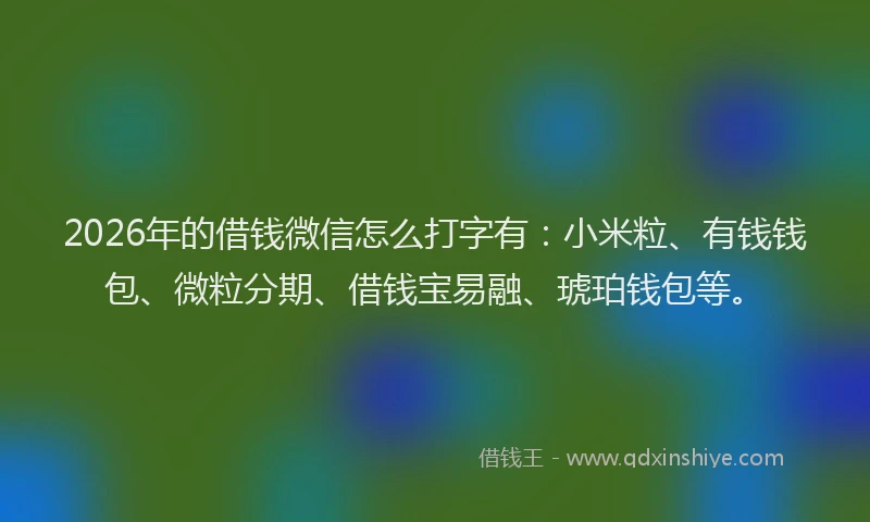 2026年的借钱微信怎么打字有：小米粒、有钱钱包、微粒分期、借钱宝易融、琥珀钱包等。
