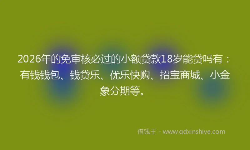 2026年的免审核必过的小额贷款18岁能贷吗有：有钱钱包、钱贷乐、优乐快购、招宝商城、小金象分期等。