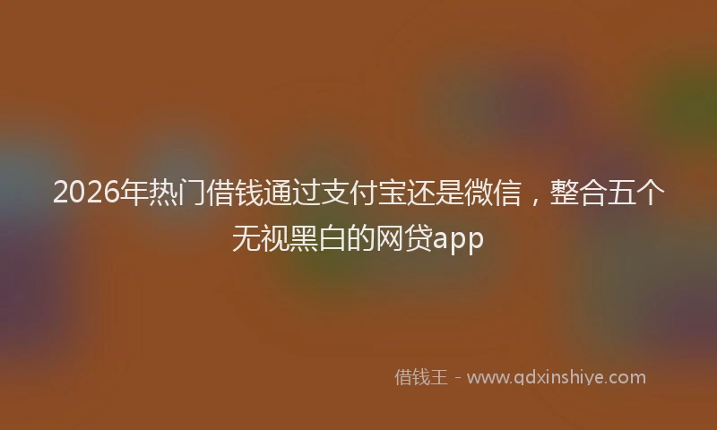 2026年热门借钱通过支付宝还是微信，整合五个无视黑白的网贷app