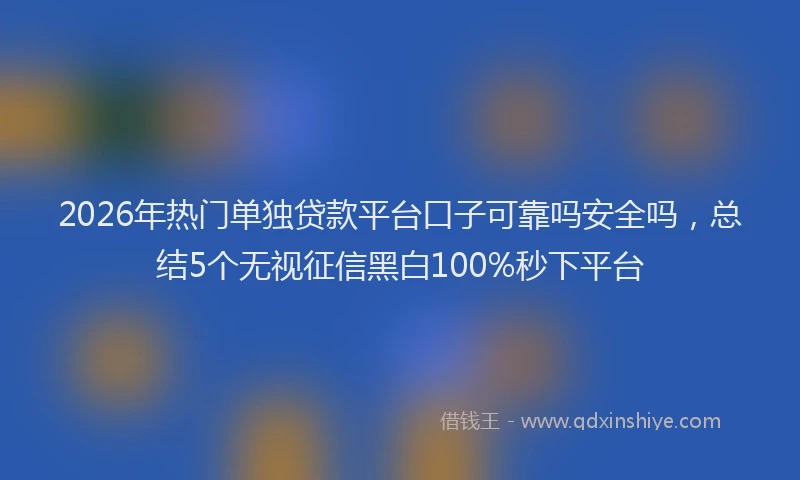 2026年热门单独贷款平台口子可靠吗安全吗，总结5个无视征信黑白100%秒下平台