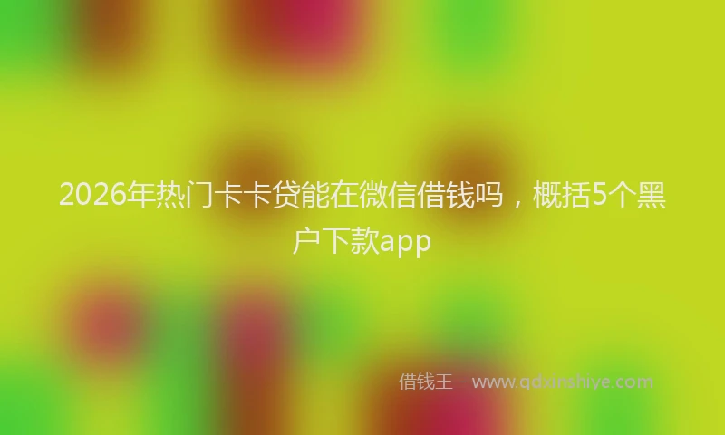 2026年热门卡卡贷能在微信借钱吗，概括5个黑户下款app