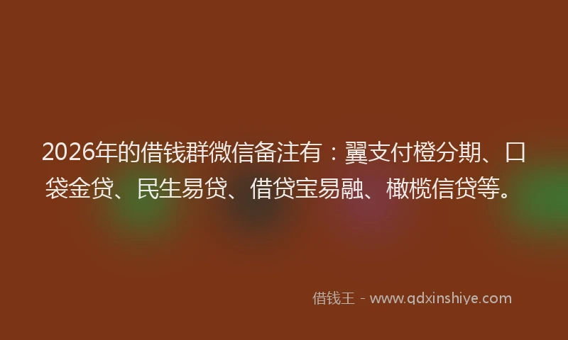 2026年的借钱群微信备注有：翼支付橙分期、口袋金贷、民生易贷、借贷宝易融、橄榄信贷等。