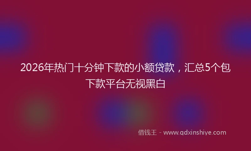 2026年热门十分钟下款的小额贷款，汇总5个包下款平台无视黑白