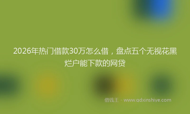 2026年热门借款30万怎么借，盘点五个无视花黑烂户能下款的网贷