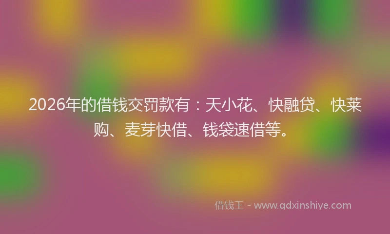 2026年的借钱交罚款有：天小花、快融贷、快莱购、麦芽快借、钱袋速借等。