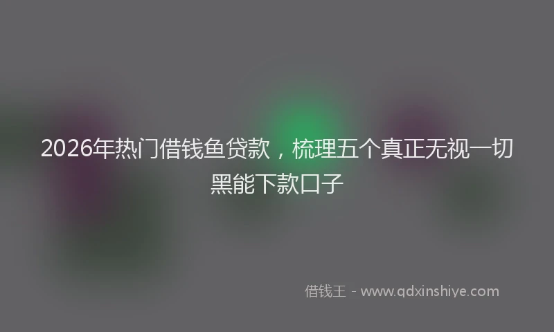 2026年热门借钱鱼贷款，梳理五个真正无视一切黑能下款口子
