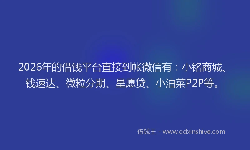 2026年的借钱平台直接到帐微信有：小铭商城、钱速达、微粒分期、星愿贷、小油菜P2P等。