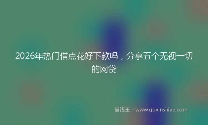 2026年热门借点花好下款吗，分享五个无视一切的网贷