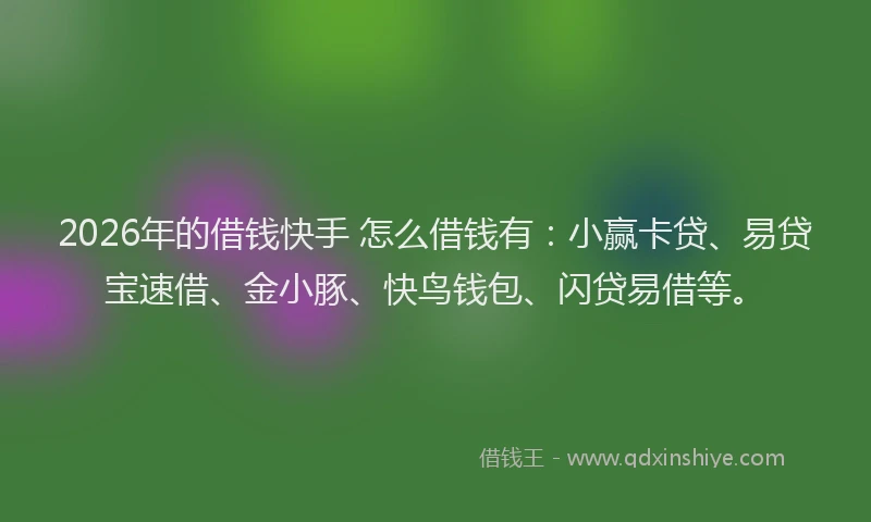 2026年的借钱快手 怎么借钱有：小赢卡贷、易贷宝速借、金小豚、快鸟钱包、闪贷易借等。