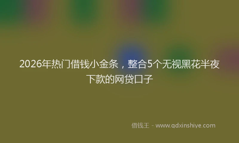 2026年热门借钱小金条，整合5个无视黑花半夜下款的网贷口子