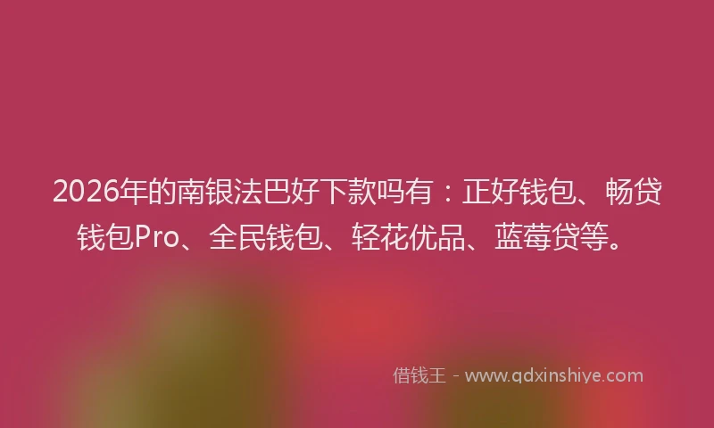 2026年的南银法巴好下款吗有：正好钱包、畅贷钱包Pro、全民钱包、轻花优品、蓝莓贷等。