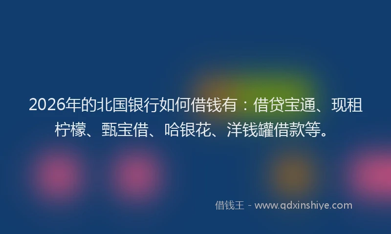 2026年的北国银行如何借钱有：借贷宝通、现租柠檬、甄宝借、哈银花、洋钱罐借款等。