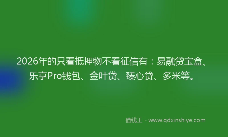 2026年的只看抵押物不看征信有：易融贷宝盒、乐享Pro钱包、金叶贷、臻心贷、多米等。