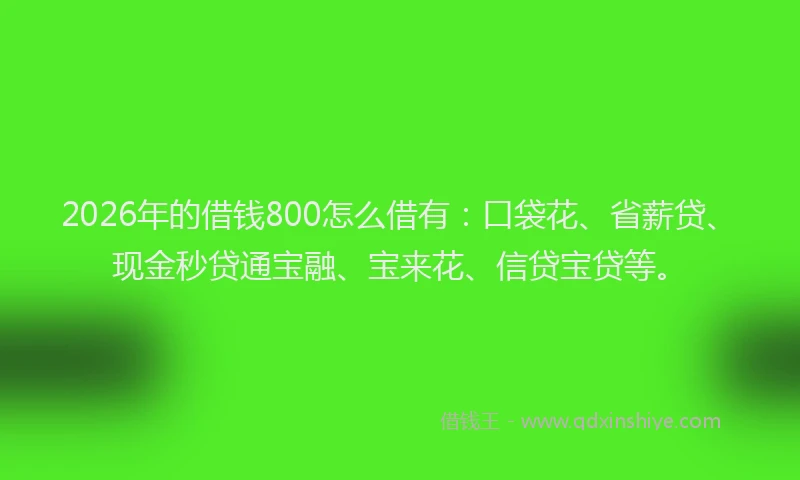 2026年的借钱800怎么借有：口袋花、省薪贷、现金秒贷通宝融、宝来花、信贷宝贷等。