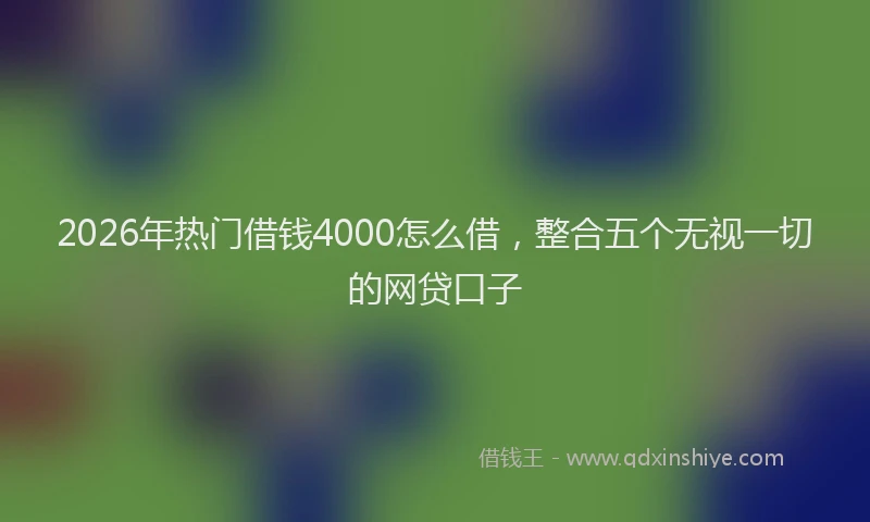 2026年热门借钱4000怎么借，整合五个无视一切的网贷口子