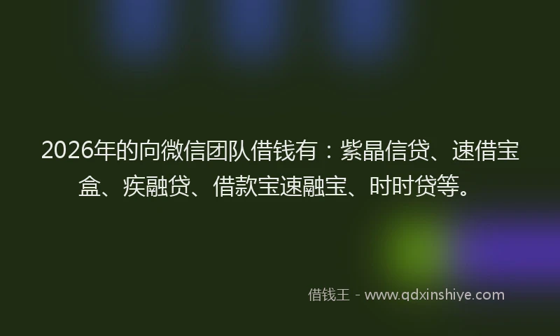 2026年的向微信团队借钱有：紫晶信贷、速借宝盒、疾融贷、借款宝速融宝、时时贷等。
