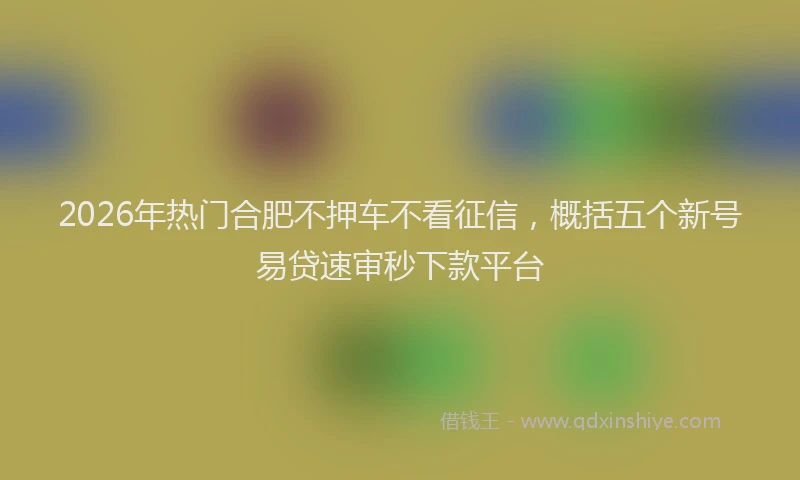 2026年热门合肥不押车不看征信，概括五个新号易贷速审秒下款平台