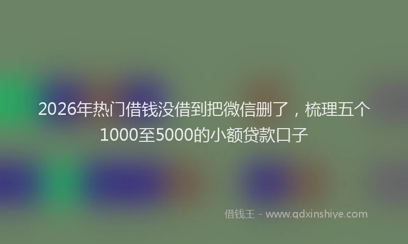 2026年热门借钱没借到把微信删了，梳理五个1000至5000的小额贷款口子
