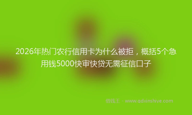 2026年热门农行信用卡为什么被拒，概括5个急用钱5000快审快贷无需征信口子