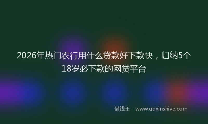 2026年热门农行用什么贷款好下款快，归纳5个18岁必下款的网贷平台
