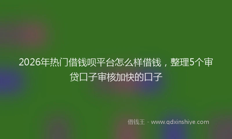 2026年热门借钱呗平台怎么样借钱，整理5个审贷口子审核加快的口子