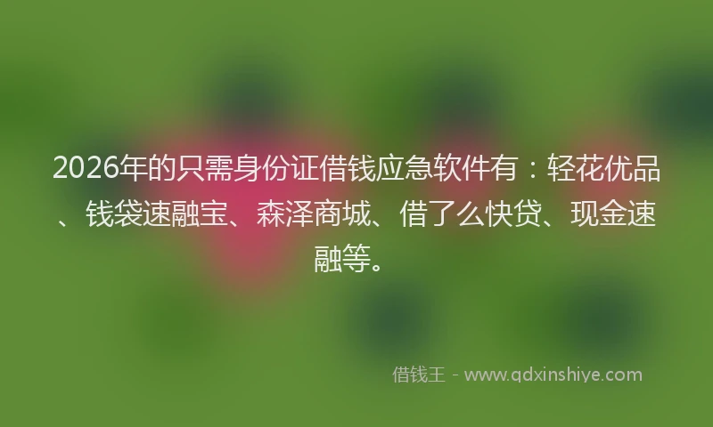 2026年的只需身份证借钱应急软件有：轻花优品、钱袋速融宝、森泽商城、借了么快贷、现金速融等。